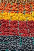 Farmers Market