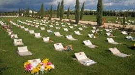 in foto, il "Parco dei Ricordi"  Cimitero per Animali d'Affezione di Foggia