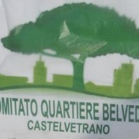 comitato quartiere belvedere