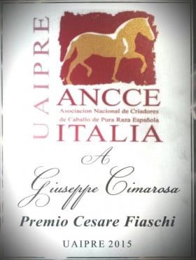 premio giuseppe cimarosa