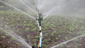 prezzo acqua sicilia