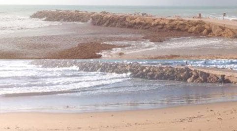 Marinella Di Selinunte Le Alghe Vanno E Vengono Con Lo Scirocco